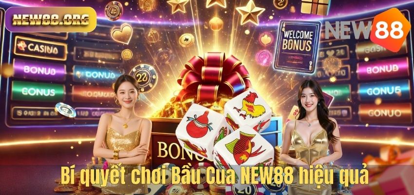 Bí quyết chơi Bầu Cua NEW88 hiệu quả